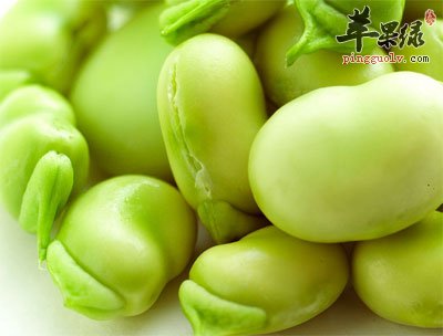 新鲜的蚕豆.jpg