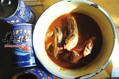 沙丁鱼罐头