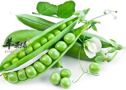 豌豆花和豌豆