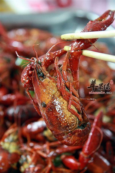 吃麻辣小龙虾