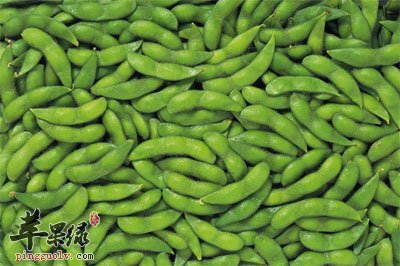 一堆毛豆角.jpg
