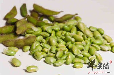 毛豆与毛豆角.jpg