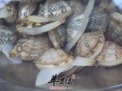 蛤蜊吐沙