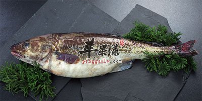 被抓的鳕鱼.jpg