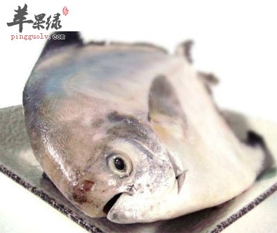 鲳鱼的营养价值