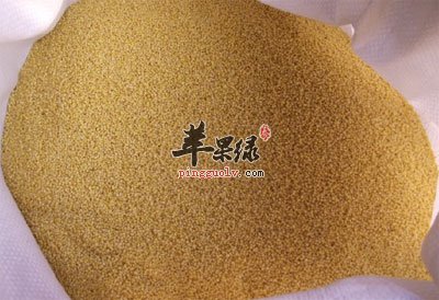 小米.jpg
