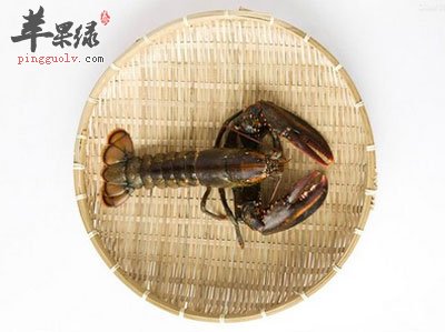 匾里的龙虾.jpg