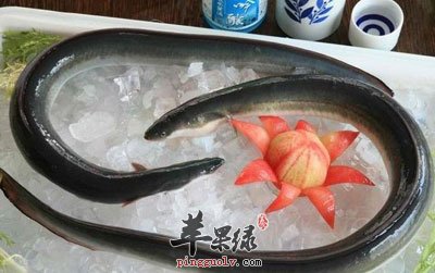 冻鳗鱼