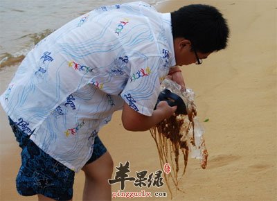 活捉海蜇.jpg