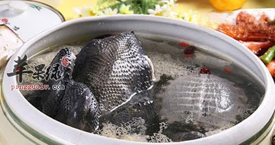 乌鸡炖甲鱼