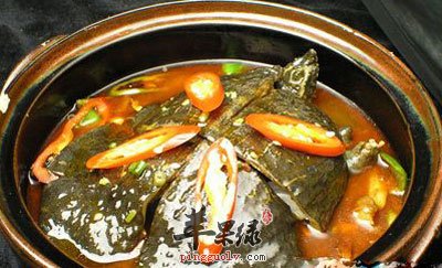 甲鱼炖烧鹅