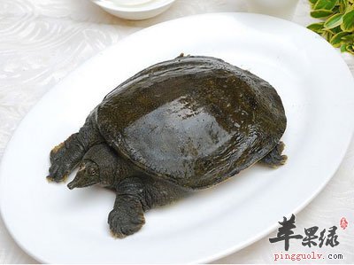 盘中的甲鱼