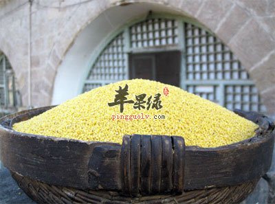 自产小米