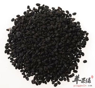 补骨脂.jpg