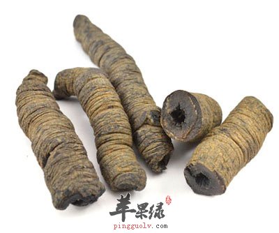 抽芯巴戟天.jpg