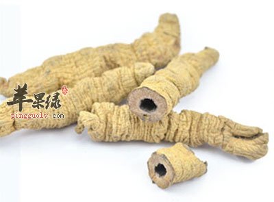 生巴戟天.jpg