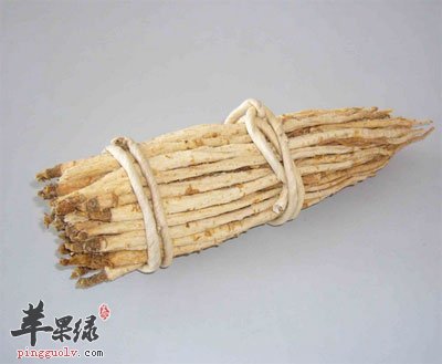 北沙参