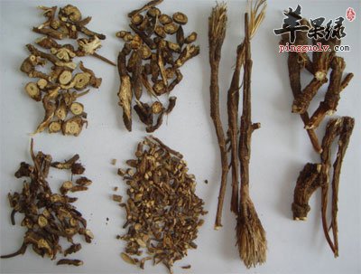 各种形态的柴胡.jpg