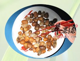 麻辣土鳖虫