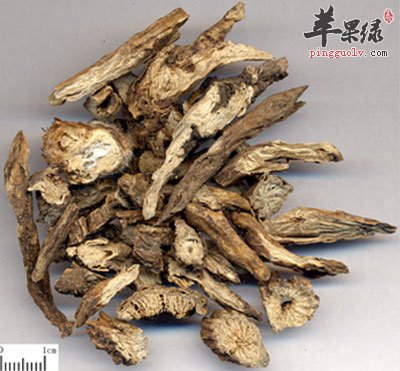白头翁药材.jpg