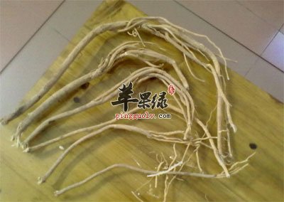 比较细的板蓝根.jpg