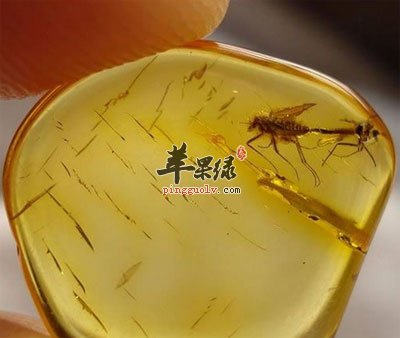 琥珀