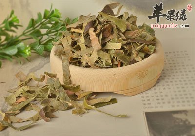 枇杷叶-药材.jpg