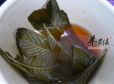 熬枇杷叶.jpg