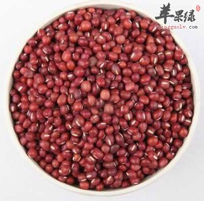 赤小豆图片.jpg