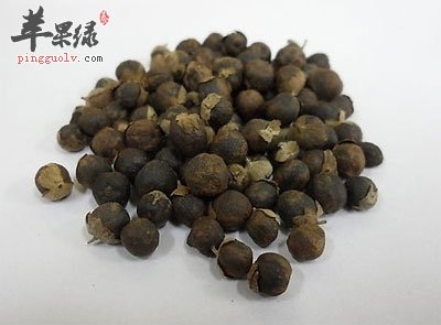 蔓荆子的功效与作用