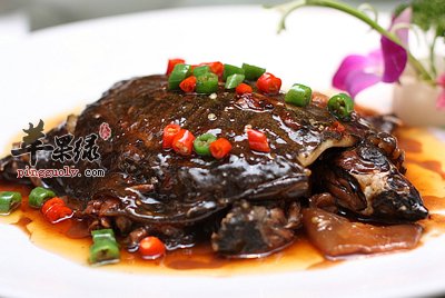 红烧甲鱼.jpg