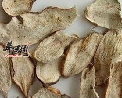 切片的白蔹.jpg
