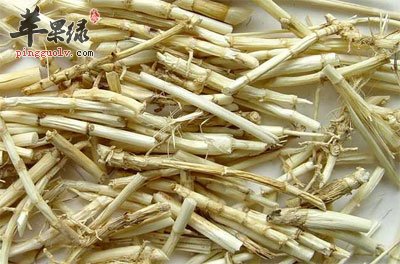 白茅根的功效与作用