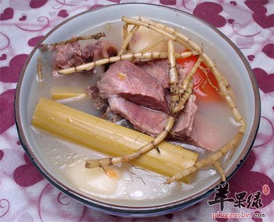 白茅根竹蔗猪骨汤.jpg