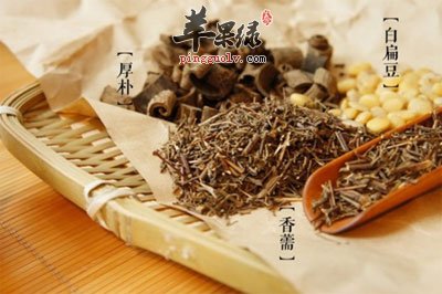 新葡京娱乐场下载:香薷的功效与作用