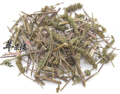 药材荆芥.jpg
