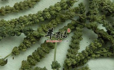 荆芥穗.jpg