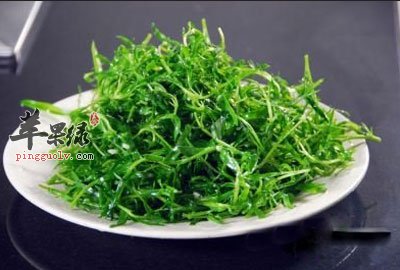 凉拌荆芥.jpg