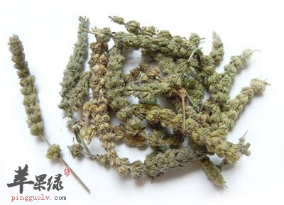 荆芥的功效与作用