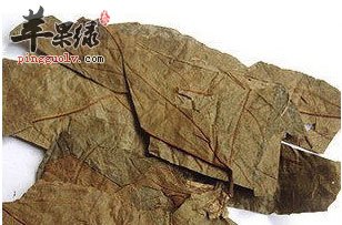 布渣叶茶