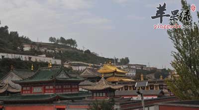 西藏建筑.jpg