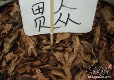 贯众.jpg
