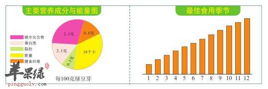 别名:巧芽,豆 芽菜,如意菜 科别:豆科 花果期:夏季 营养成分:蛋白质