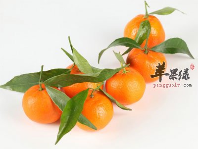 一排小桔子.jpg