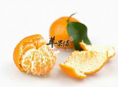 桔子经络.jpg