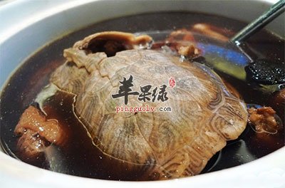 加味龟肉汤:补脾益肾