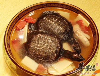 百合乌龟汤