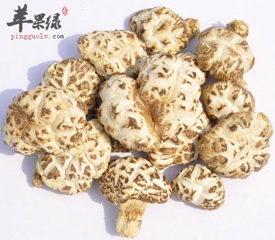 一摊香菇.jpg