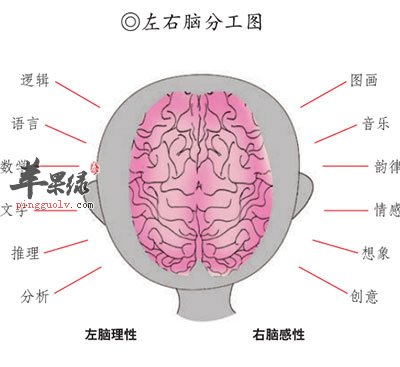 我1岁/宝宝全脑开发第1书_开发左右脑的音乐有哪些_儿童全脑开发