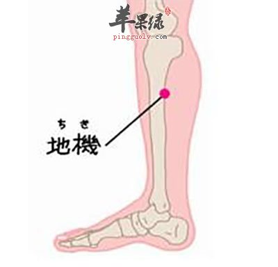 中医养生 取穴先屈腿,找到膝关节内侧横纹头,把除拇指外的四个手指